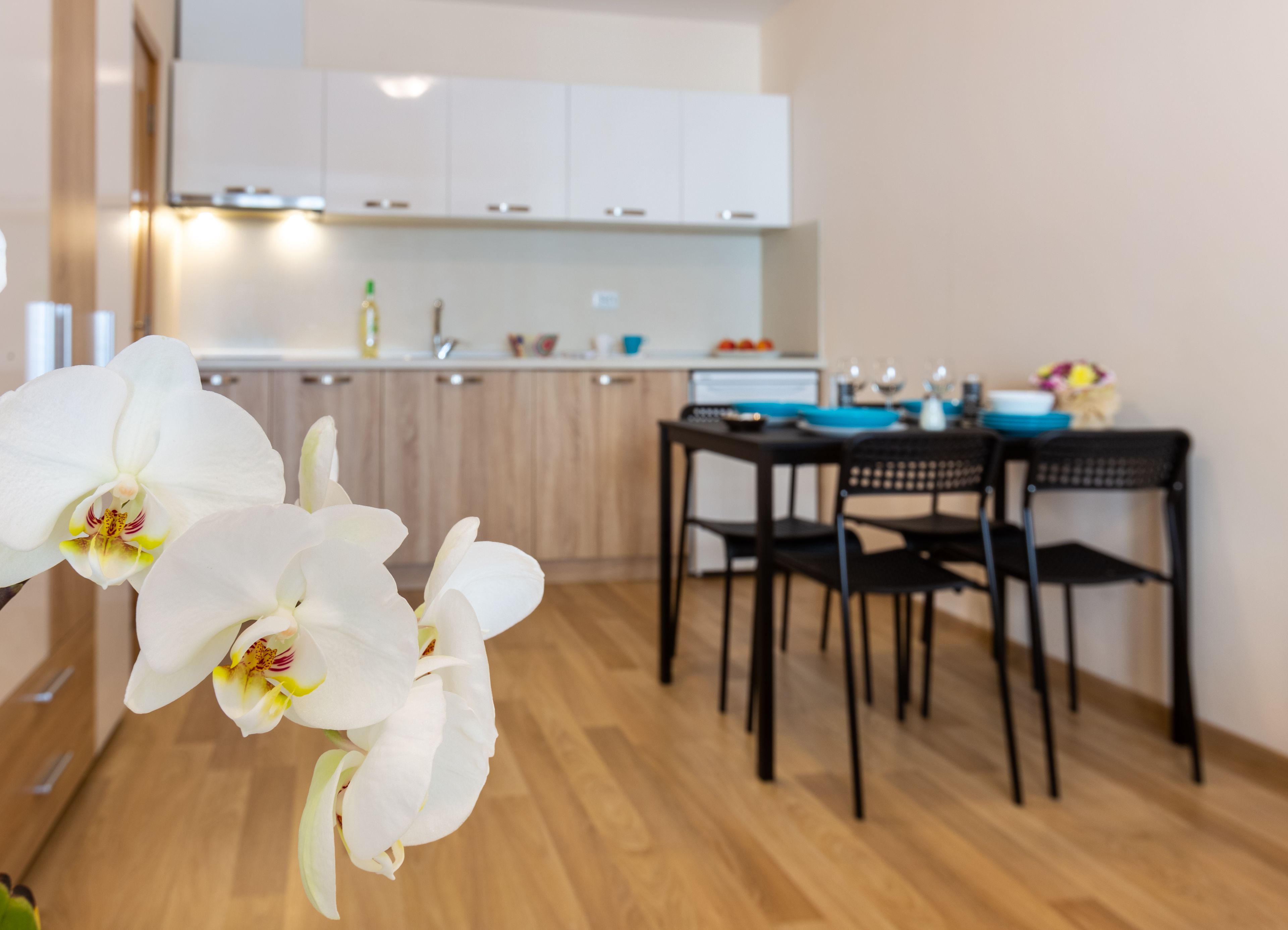 Zweibettzimmer (2 Einzelbetten) — Apartments Flora Burgas (6)